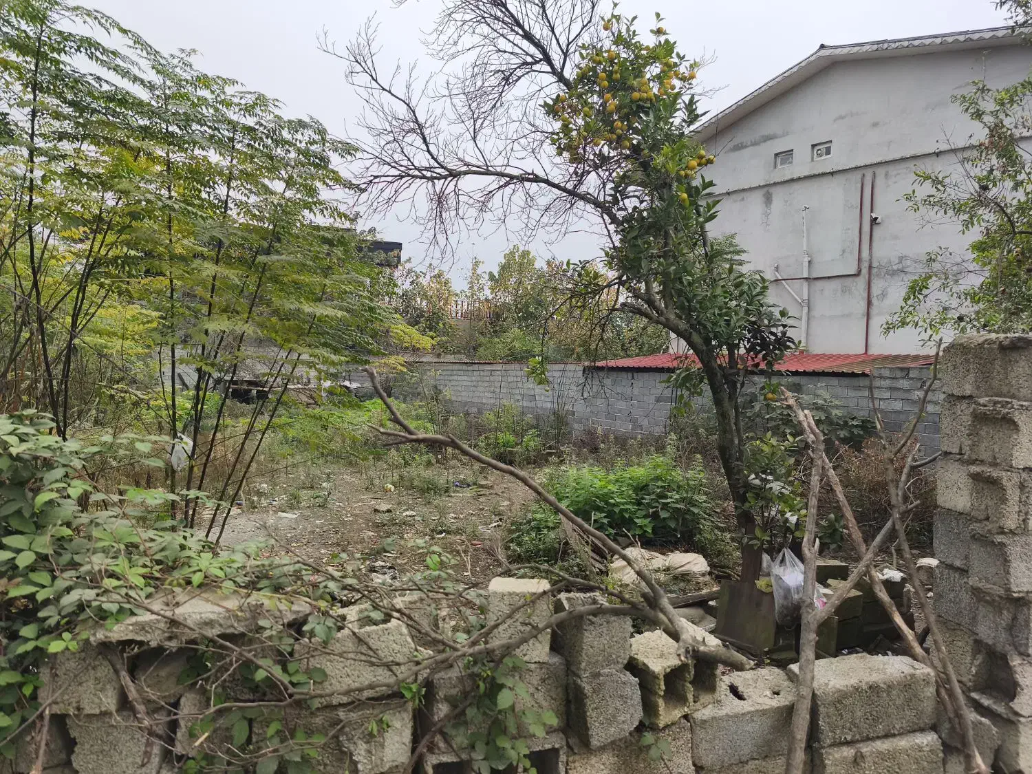 زمین ۲۲۰ متری در آستارا بیجاربین سند تکبرگ|فروش زمین و ملک کلنگی|آستارا, |دیوار