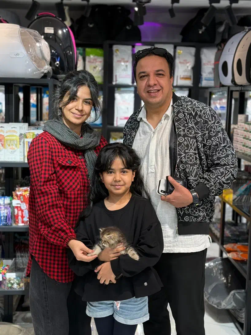 گربه بریتیش|گربه|تهران, آسمان|دیوار