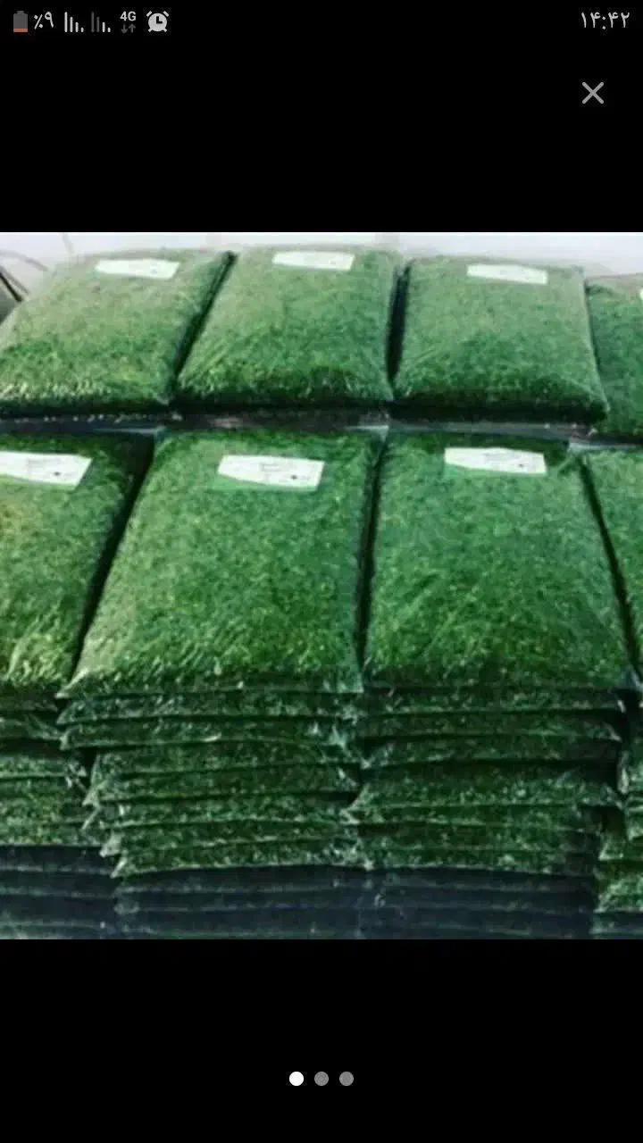 سبزی آماده مطهر|خوردنی و آشامیدنی|مشهد, شهرک مهر آباد|دیوار