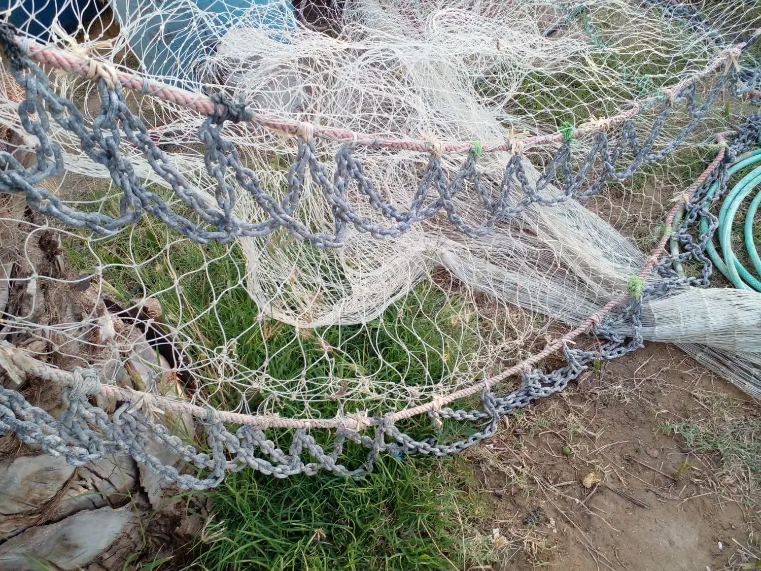 جل قایق حلوا|ماهیگیری|بمانی, |دیوار