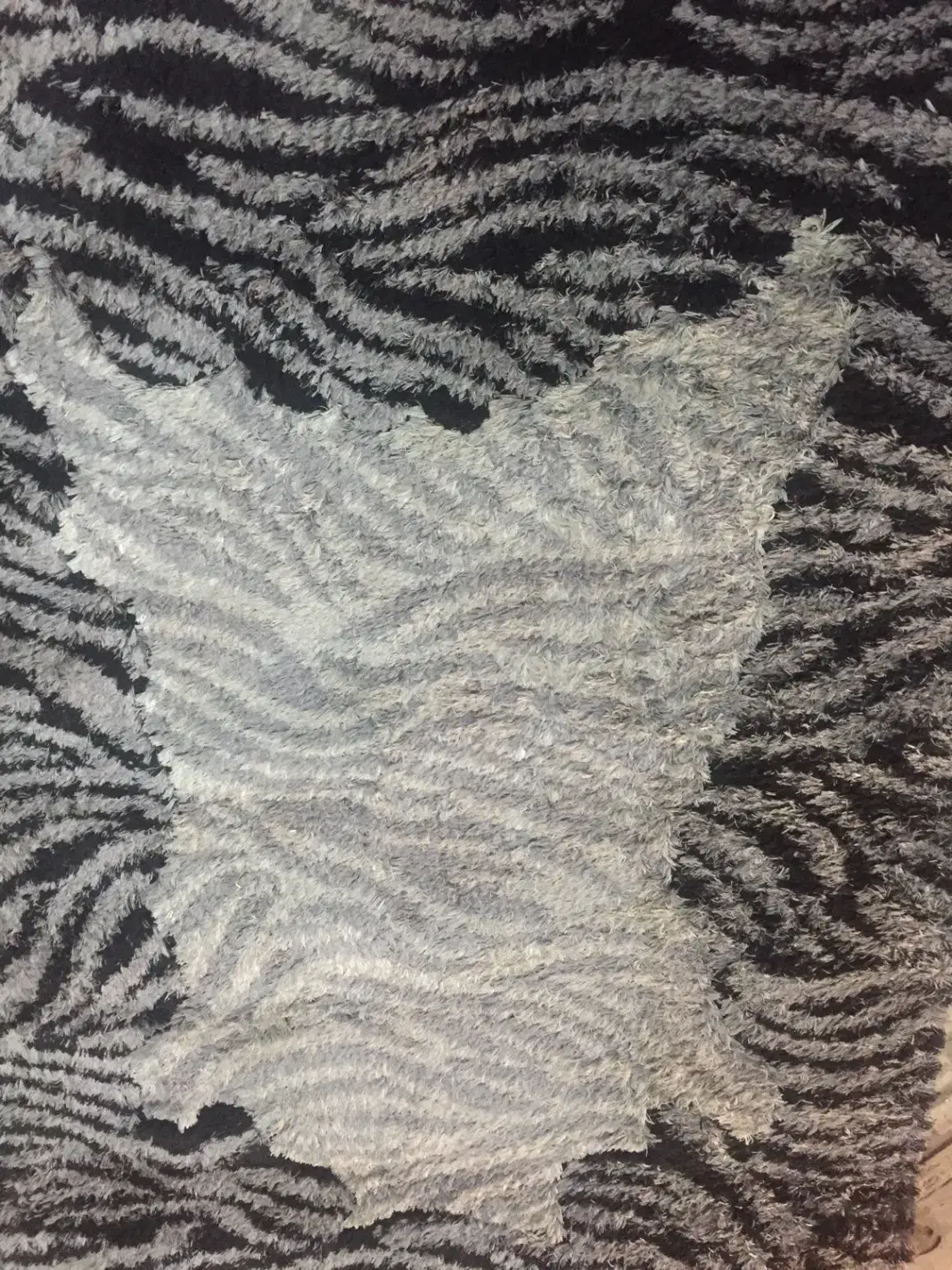 قالیچه شگی ترک|فرش|رشت, ساغری سازان|دیوار