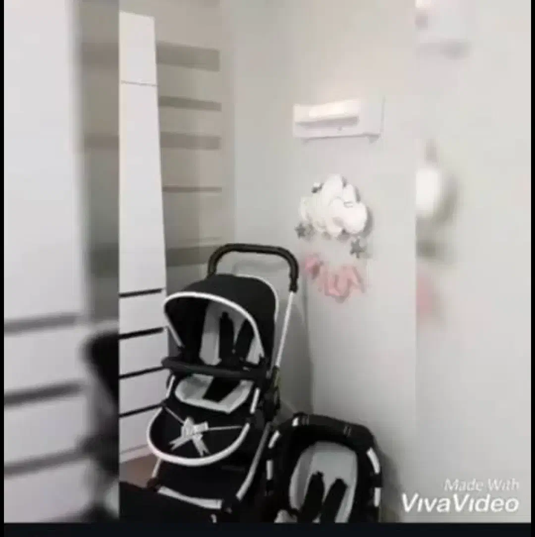 کالسکه|کالسکه و لوازم جانبی|نهاوند, |دیوار