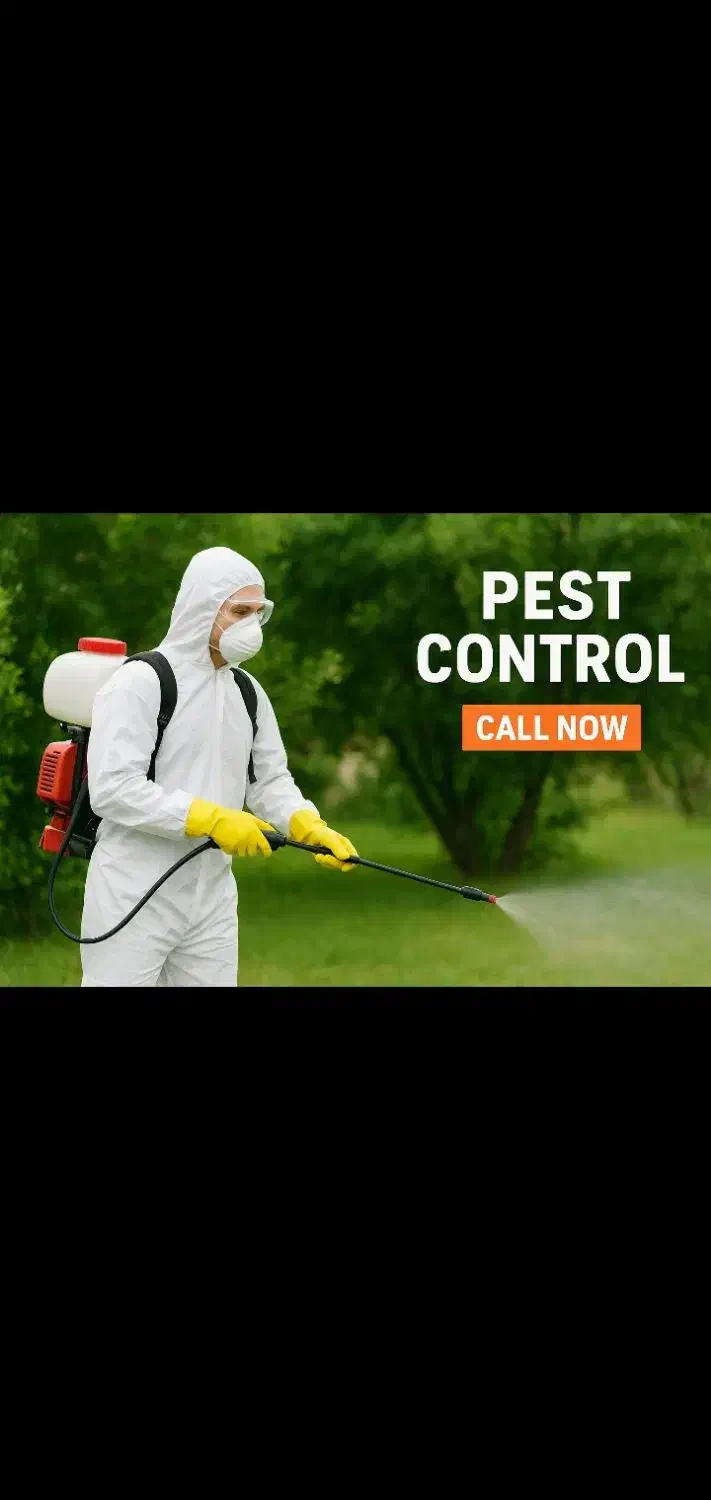 استخدام شرکت|خدمات نظافت|بندرعباس, |دیوار