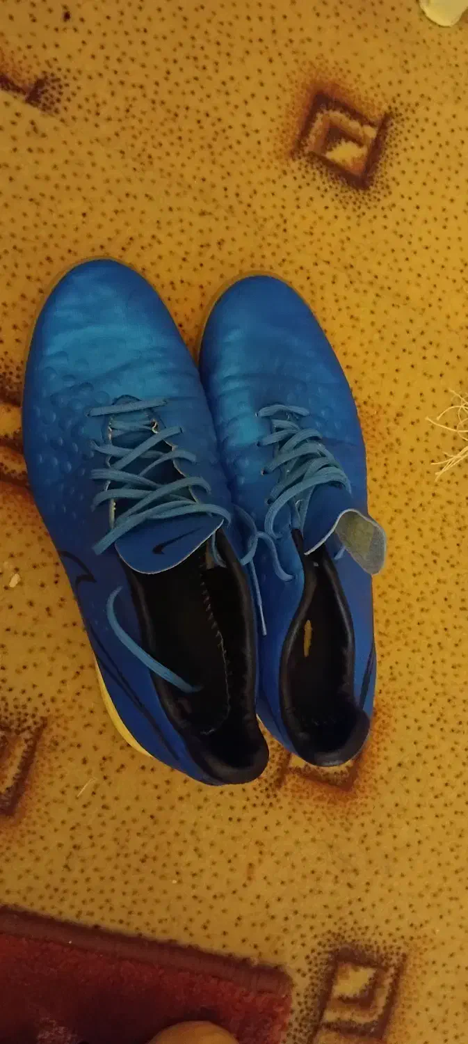 کفش سالنی با کیفیت|کیف، کفش، کمربند|مراغه, |دیوار