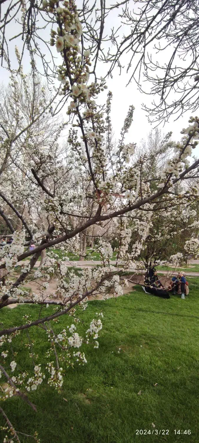 باغ منزل فروشی در باغستان علیا|فروش خانه و ویلا|اسلامیه, |دیوار