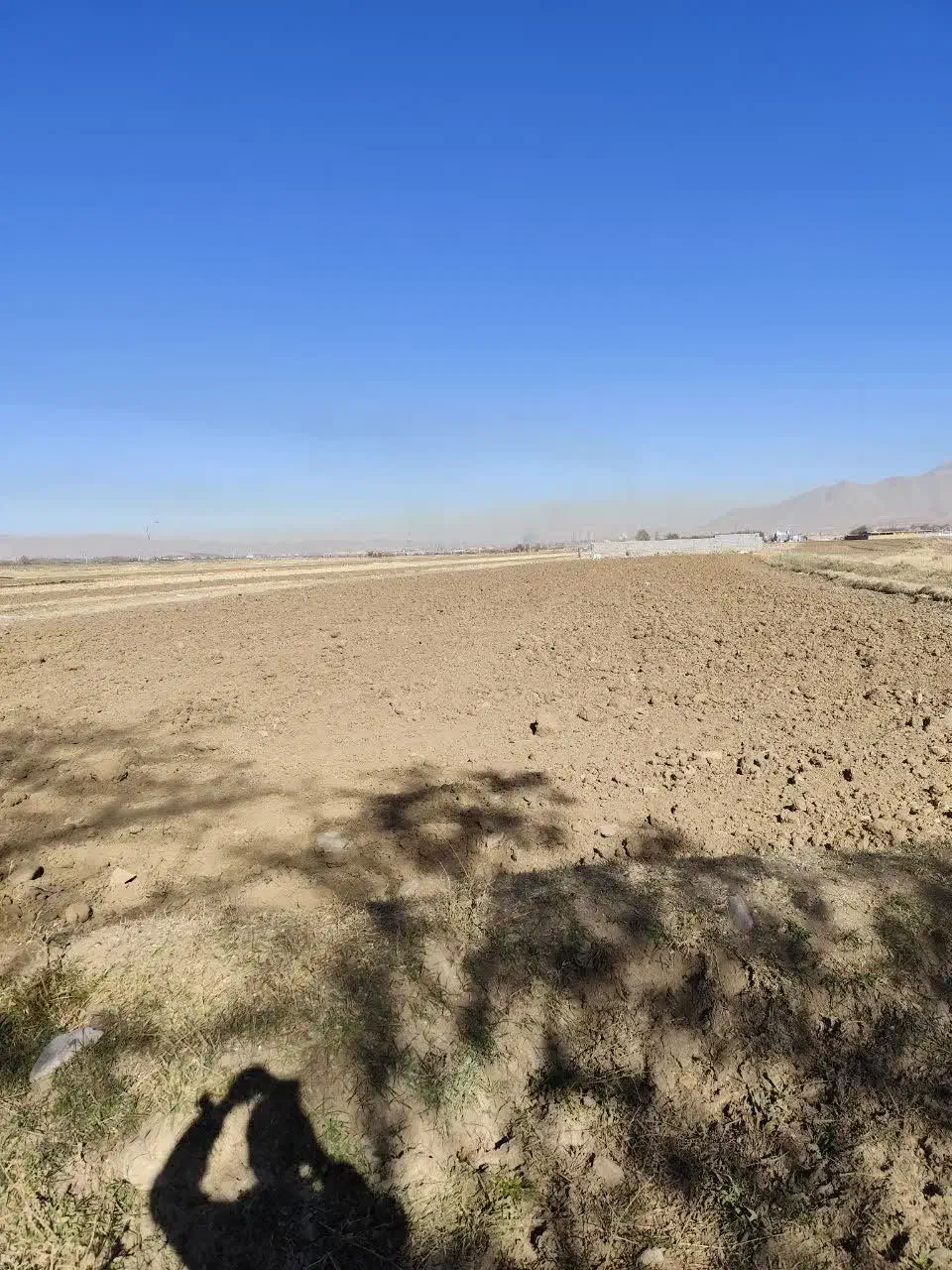 سلام زمین نزدیک محدوده پشت اداره کشاورزی|فروش زمین و ملک کلنگی|شازند, |دیوار