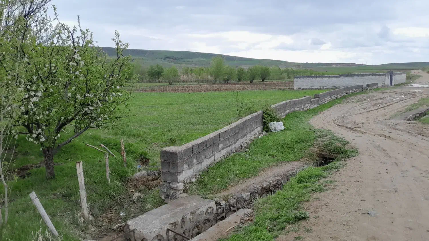 فروشی|فروش زمین و ملک کلنگی|مشگین شهر, |دیوار