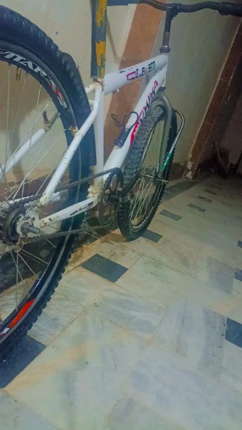 دوچرخه 26 ویوا|دوچرخه، اسکیت، اسکوتر|زابل, |دیوار