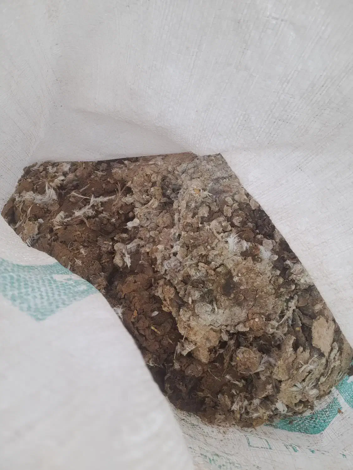 بارکفتر|خدمات باغبانی و درختکاری|نیشابور, مازول|دیوار