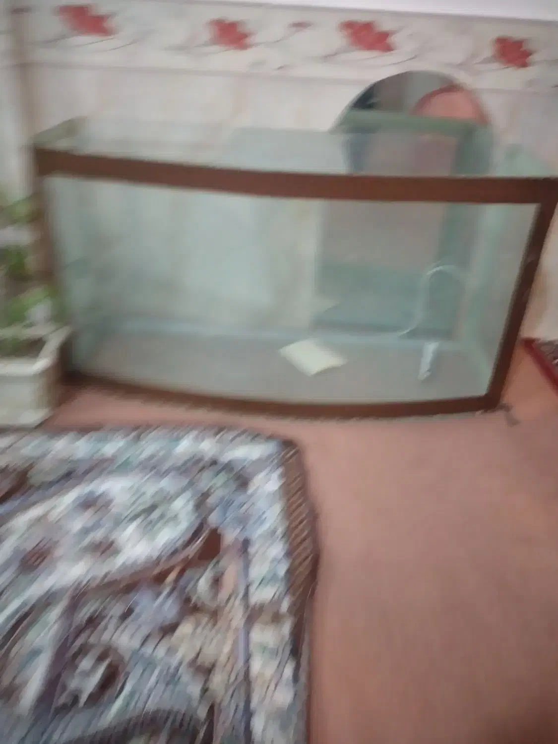 آکواریوم بزرگ شیشه ۶میل بادوام|ماهی|مراغه, |دیوار