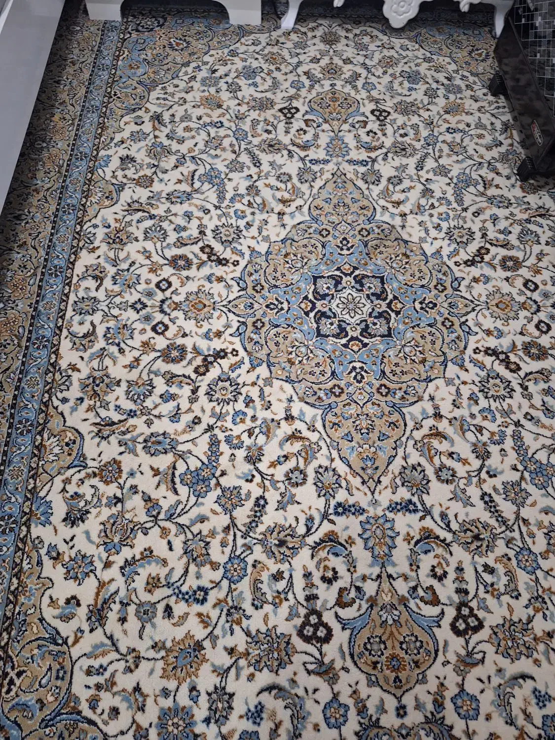 فرش ۶ متری|فرش|جغتای, |دیوار