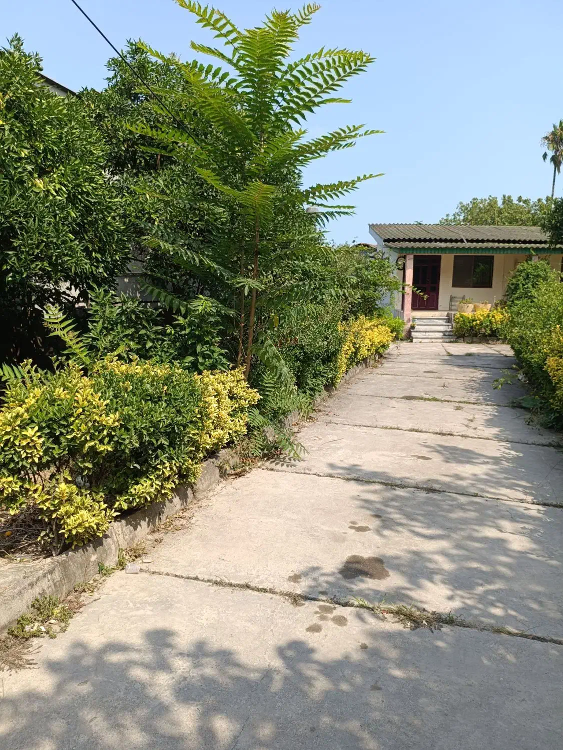 اجاره ویلا|اجارهٔ خانه و ویلا|نوشهر, |دیوار