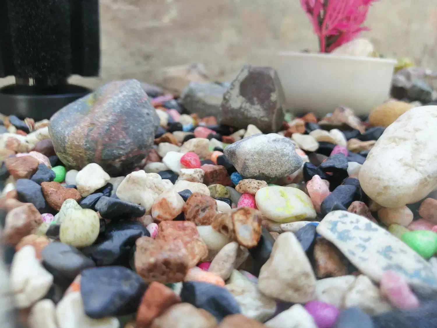 آکواریوم شرکتیJEBO|ماهی|تبریز, |دیوار