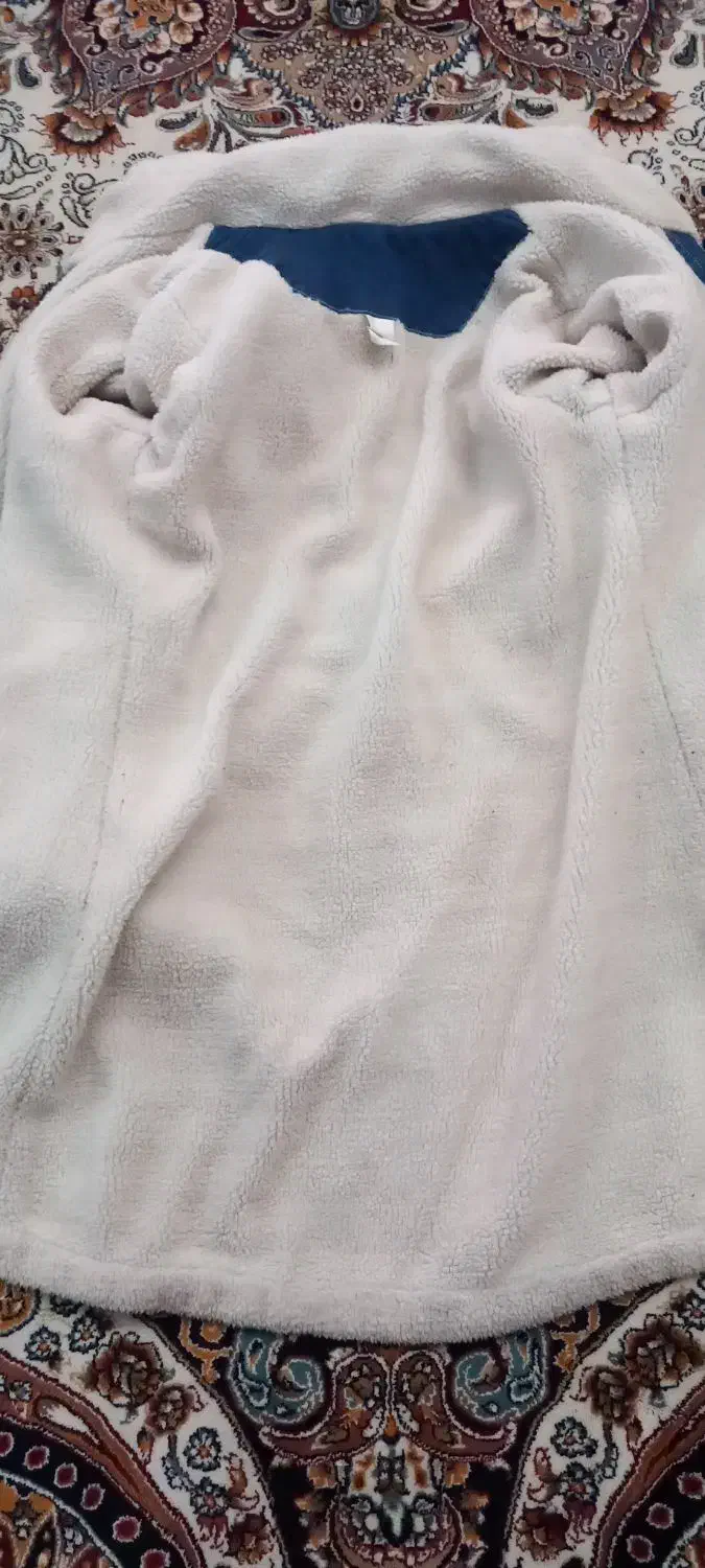 کاپشن لی|لباس|بهارستان, |دیوار