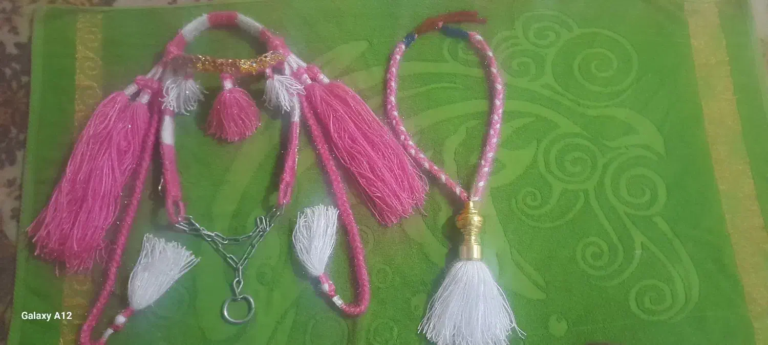 اسب|اسب و تجهیزات اسب‌سواری|حمیدیه, |دیوار