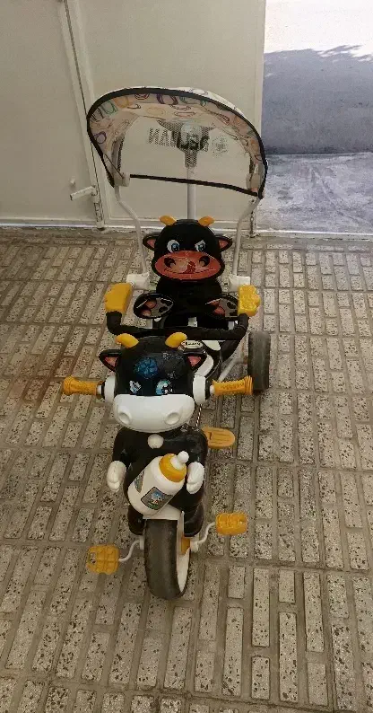 سه چرخه|دوچرخه، اسکیت، اسکوتر|خرمدره, |دیوار