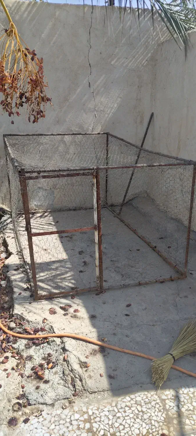 قفس بزرگ مناسب مرغ و کبوتر|لوازم جانبی حیوانات|شوشتر, |دیوار