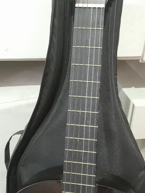 گیتار|گیتار، بیس، امپلیفایر|ماهدشت, |دیوار