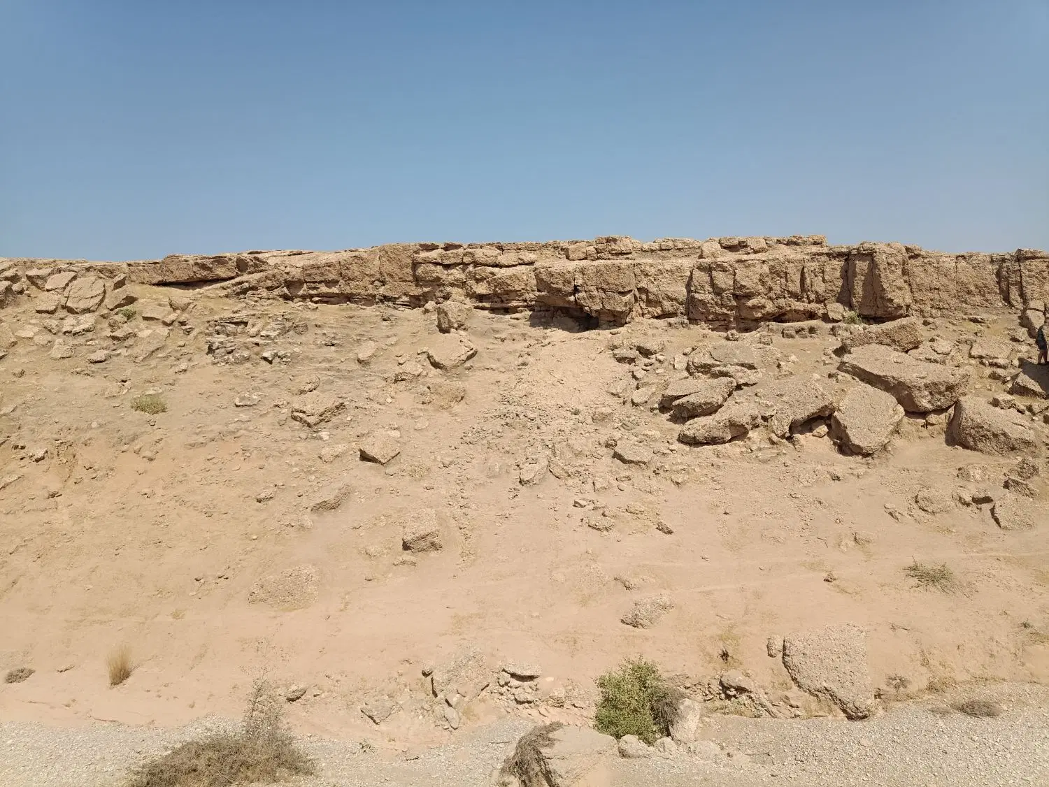 طلا|جواهرات|شوشتر, |دیوار