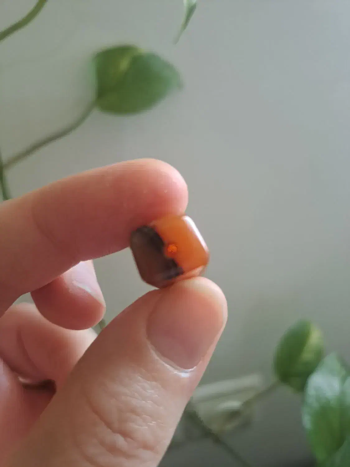 مهره عقیق سلیمانی|جواهرات|رشت, نظری|دیوار