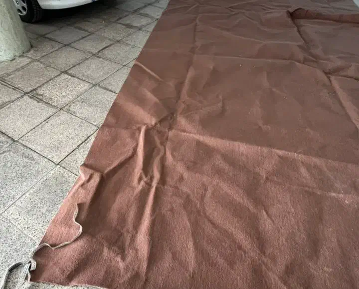 موکت|موکت|شاهین‌شهر, مخابرات (شهید بهشتی)|دیوار