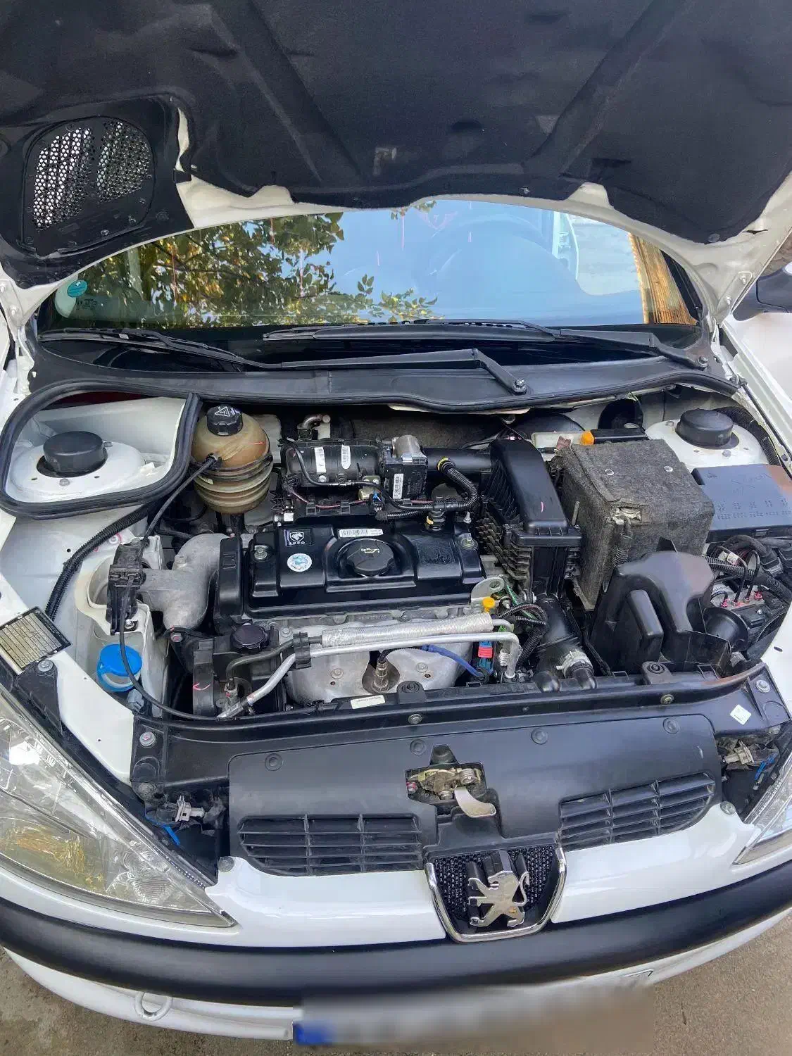 206 تیپ3مدل 1402|خودرو سواری و وانت|نقده, |دیوار