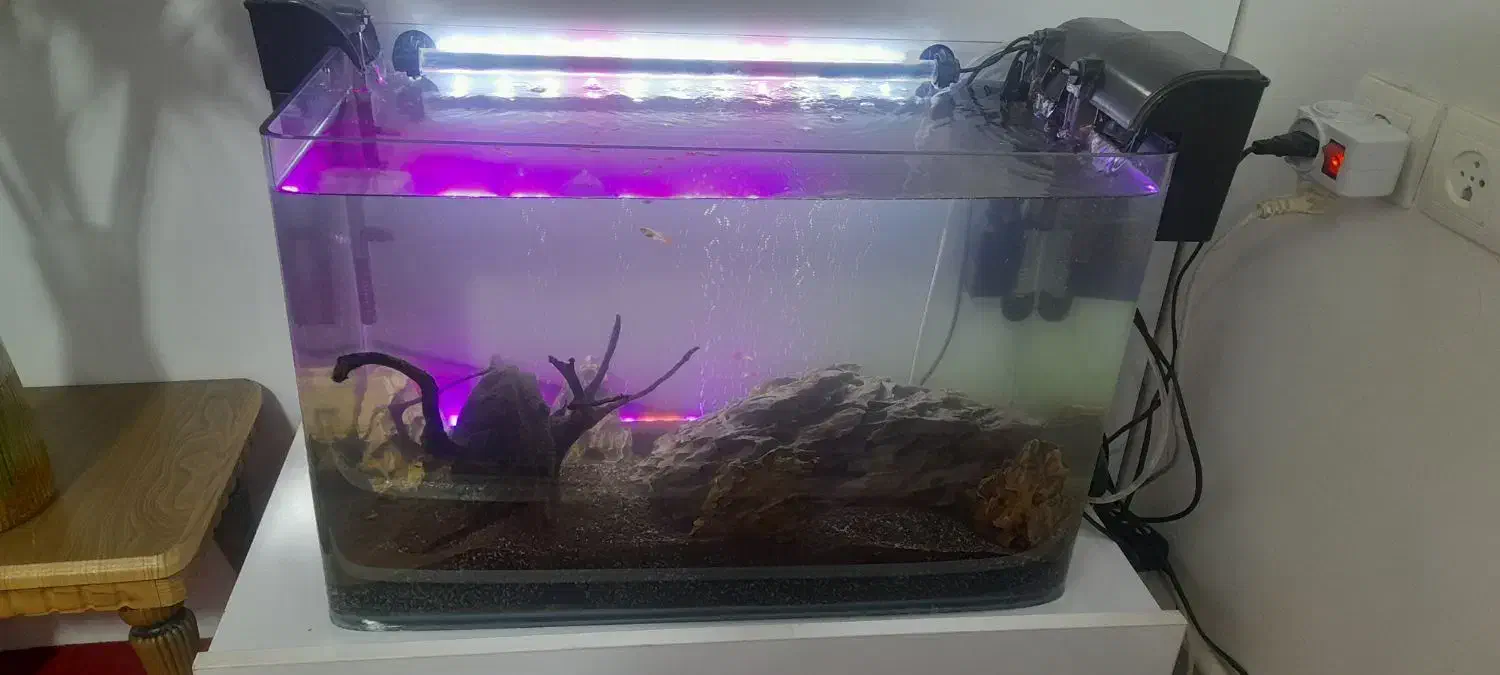 آکواریوم شیشه خم|ماهی|ری, سیزده آبان|دیوار