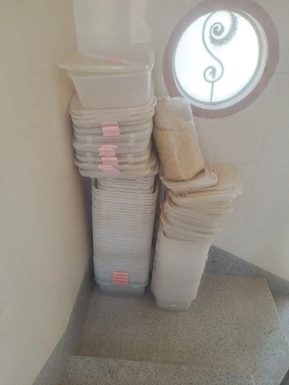 باکس حلزون یا قارچ|لوازم جانبی حیوانات|اصفهان, بوستان ناژوان|دیوار