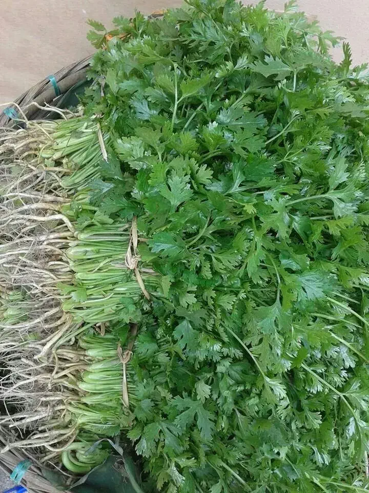 انواع سبزی شسته شده|عمدهفروشی|شیراز, ماه فیروزان|دیوار