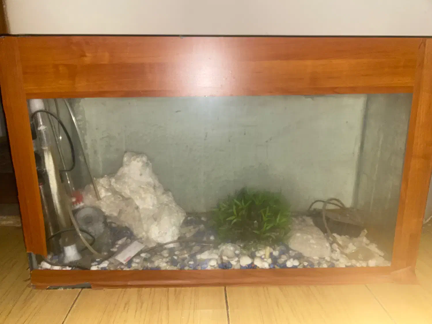 اکواریوم سالم بالوازم کامل سنگ ۳۵در ۱متر ارتفاع ۸۵|ماهی|مشهد, چهارچشمه|دیوار