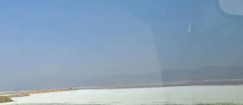 زمین بایر یا موات ۲۰ هکتار به بالا|فعالیت داوطلبانه تحقیقاتی|جهرم, |دیوار