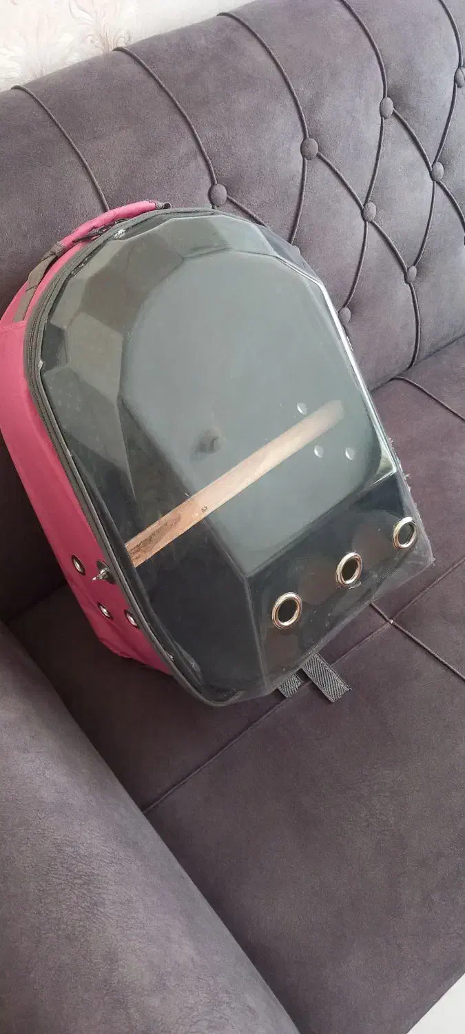 کیف حمل پرنده گربه سگ|لوازم جانبی حیوانات|سهند, |دیوار