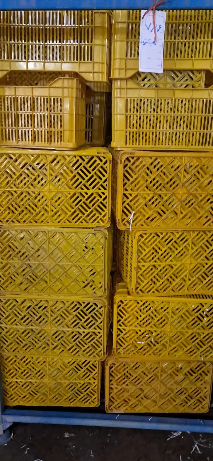 سبد مادر|ظروف نگهدارنده، پلاستیکی، یک‌بارمصرف|محمدشهر, زیبادشت|دیوار