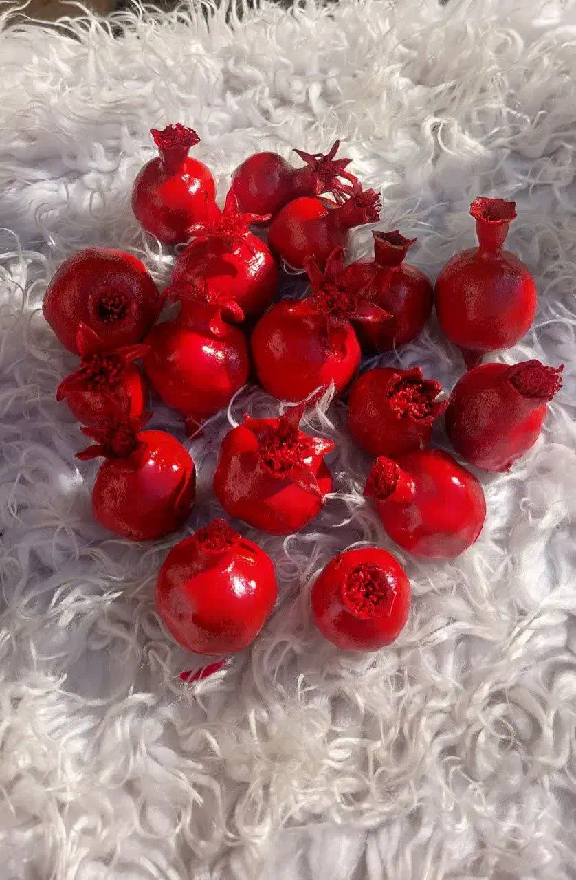 انار خشک طبیعی تزیینی|گل و گیاه طبیعی|آران و بیدگل, |دیوار