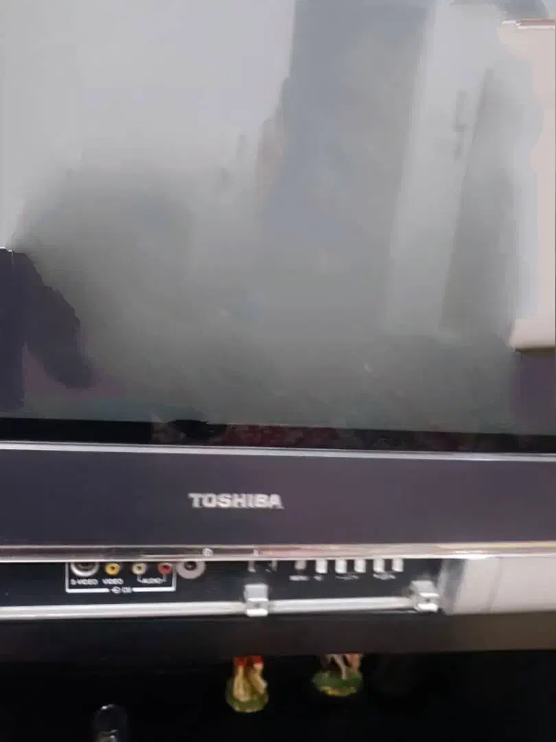 تلویزیون توشیبا رنگی|تلویزیون و پروژکتور|شیراز, وصال|دیوار