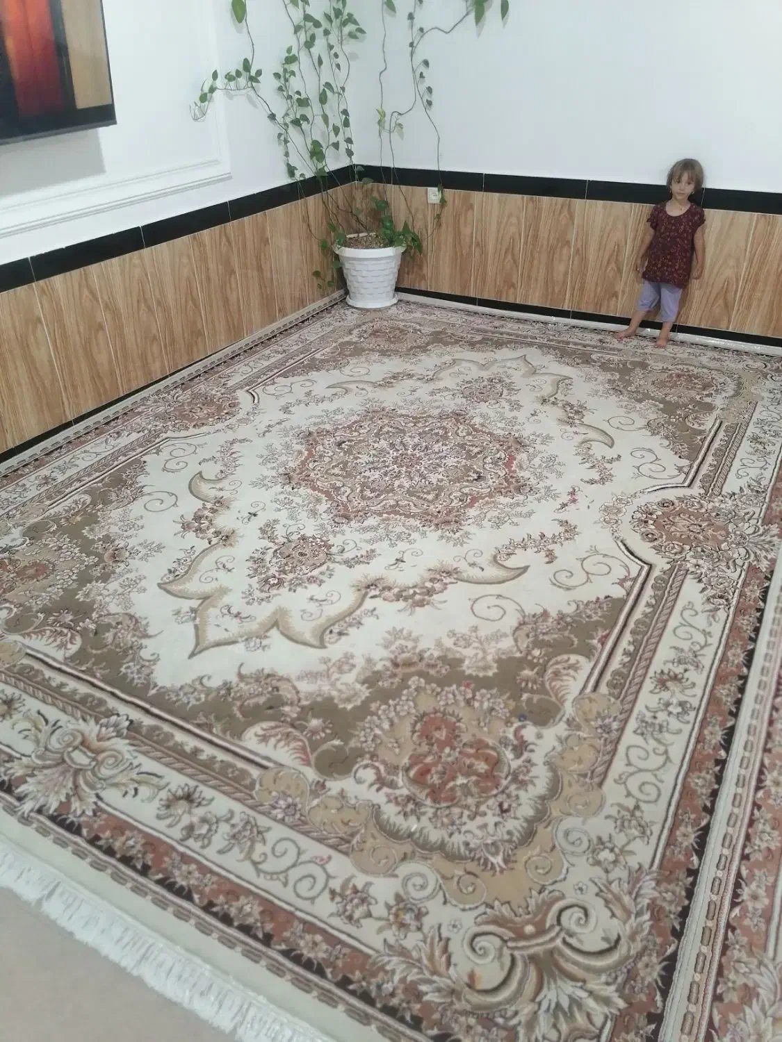 فرش 3/4کاملا تمیز|فرش|پیرانشهر, |دیوار