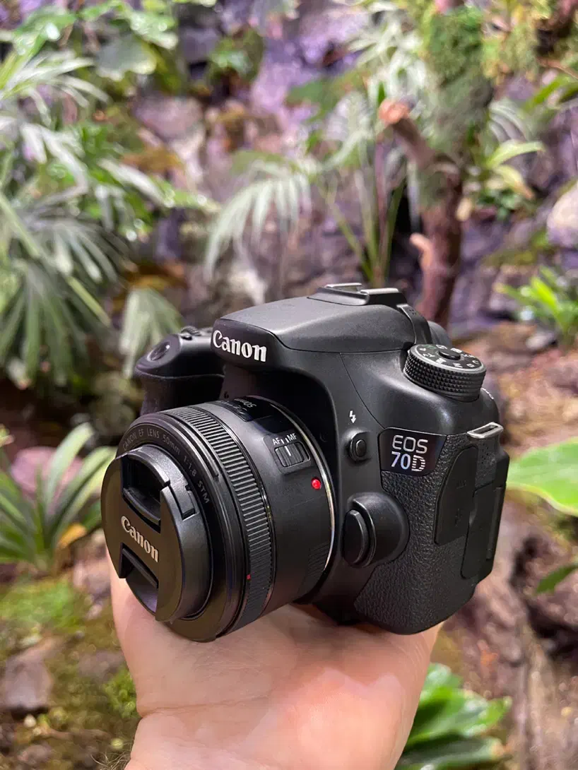 دوربین کانن d70 در حد آک با لنز 50به همراه سه پایه|دوربین عکاسی و فیلم‌برداری|شیراز, قدوسی شرقی|دیوار