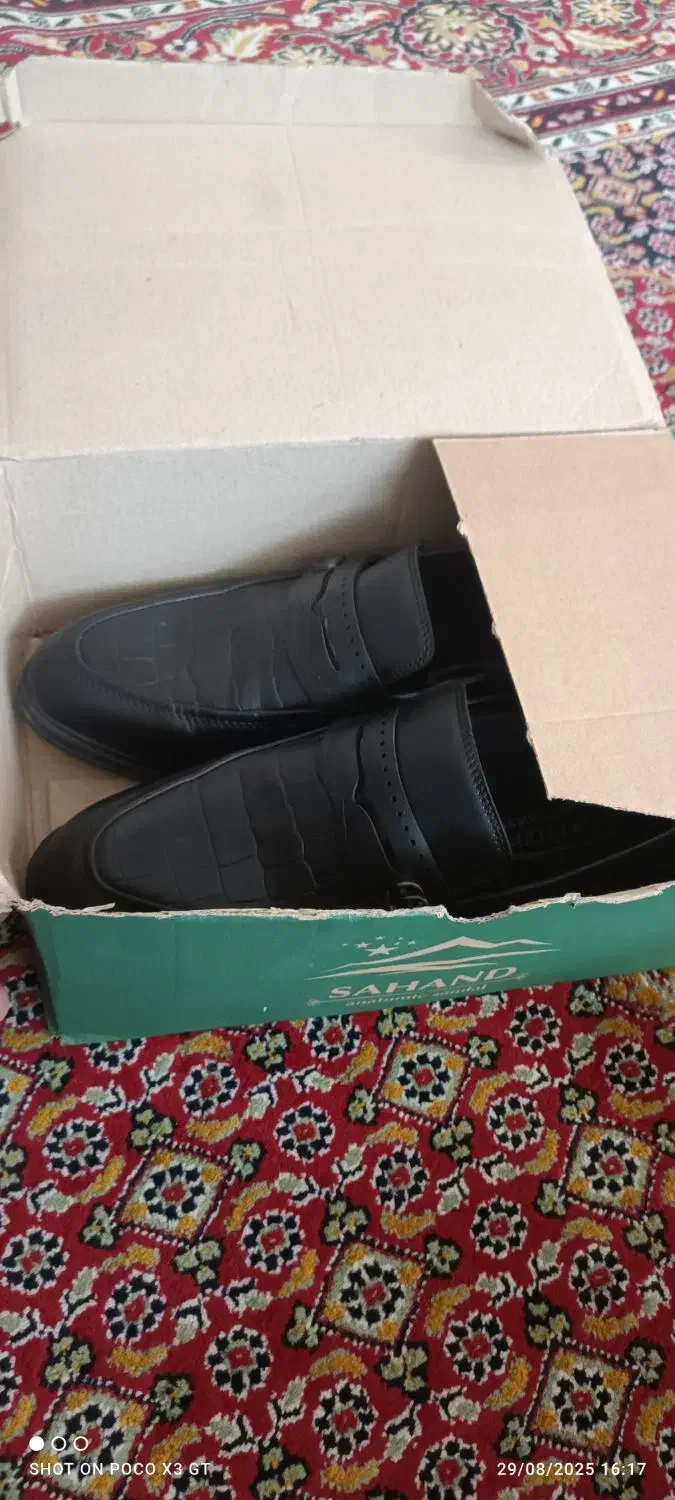 کفش تمام چرم نو|کیف، کفش، کمربند|نقده, |دیوار