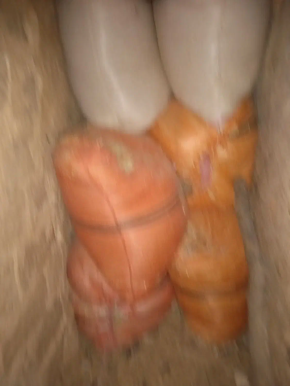 فروش کاه جو وکاه گندم|لوازم جانبی حیوانات|دزپارت, |دیوار