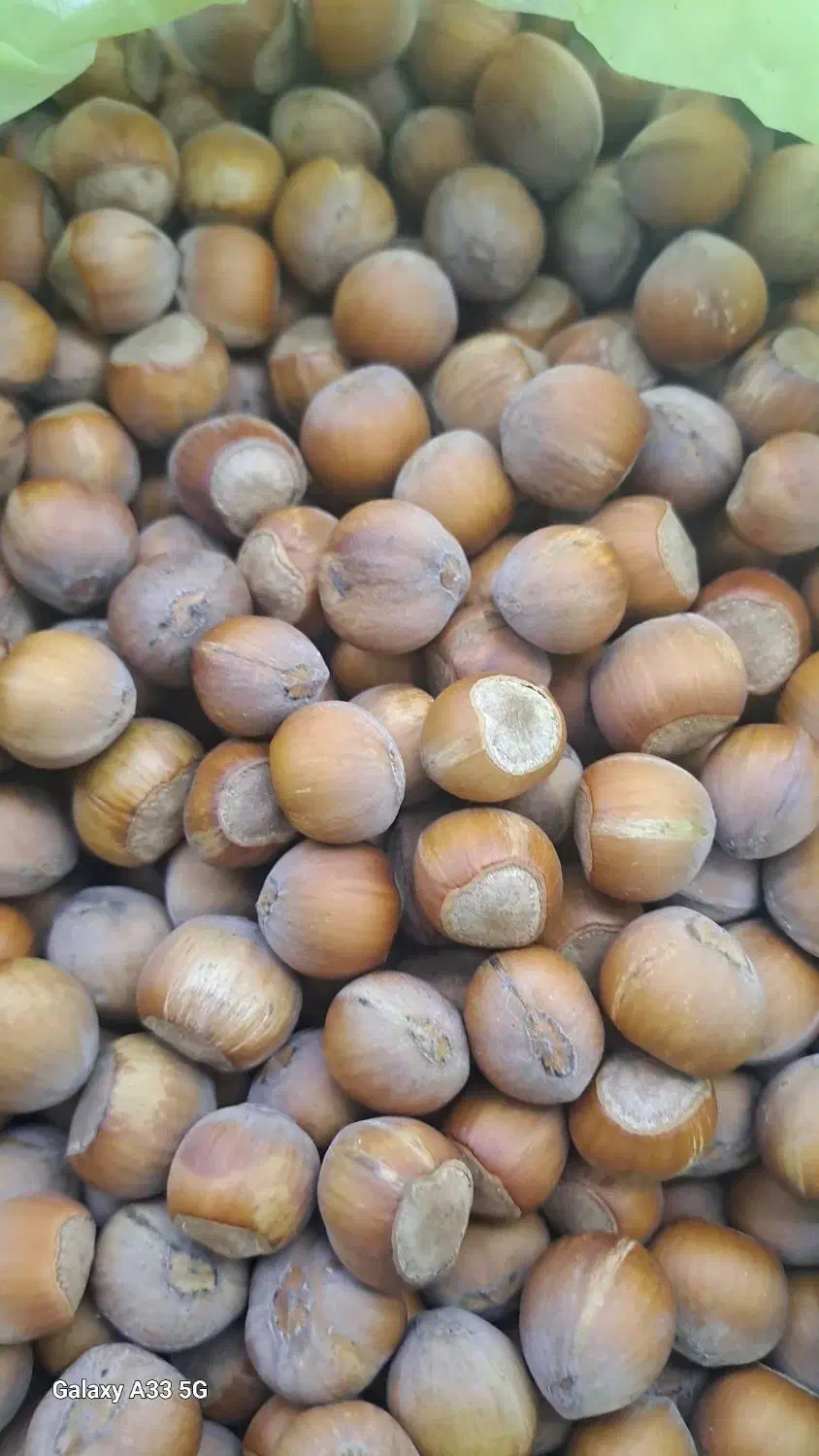 فندق|عمده‌فروشی|قزوین, |دیوار