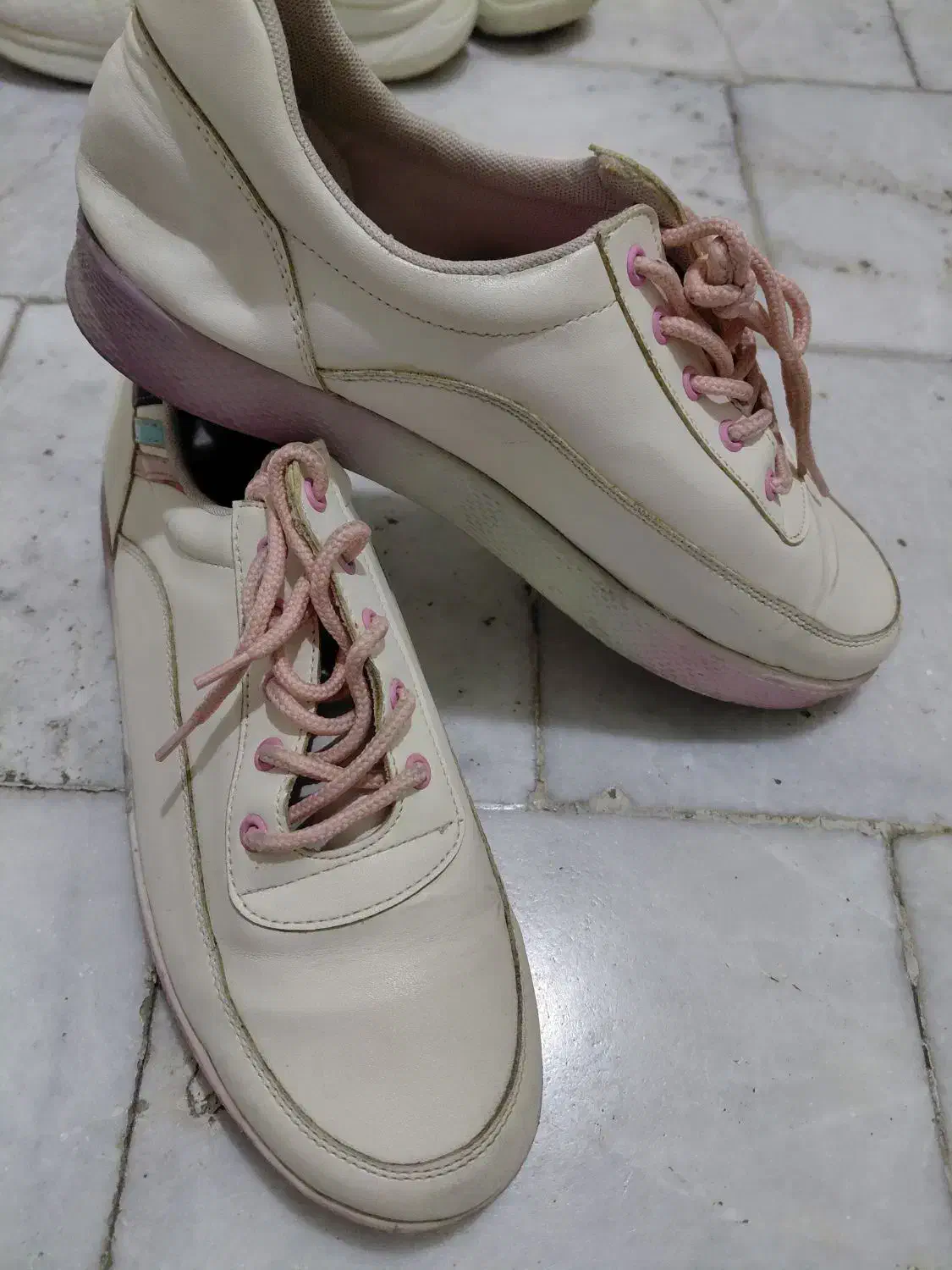 کفش نو وکار کرده|کیف، کفش، کمربند|مراغه, |دیوار