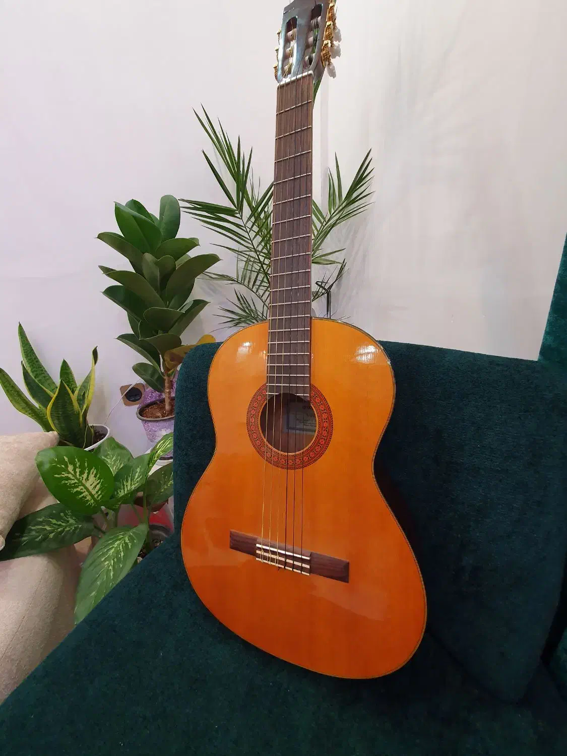 گیتار c70|گیتار، بیس، امپلیفایر|گلپایگان, |دیوار