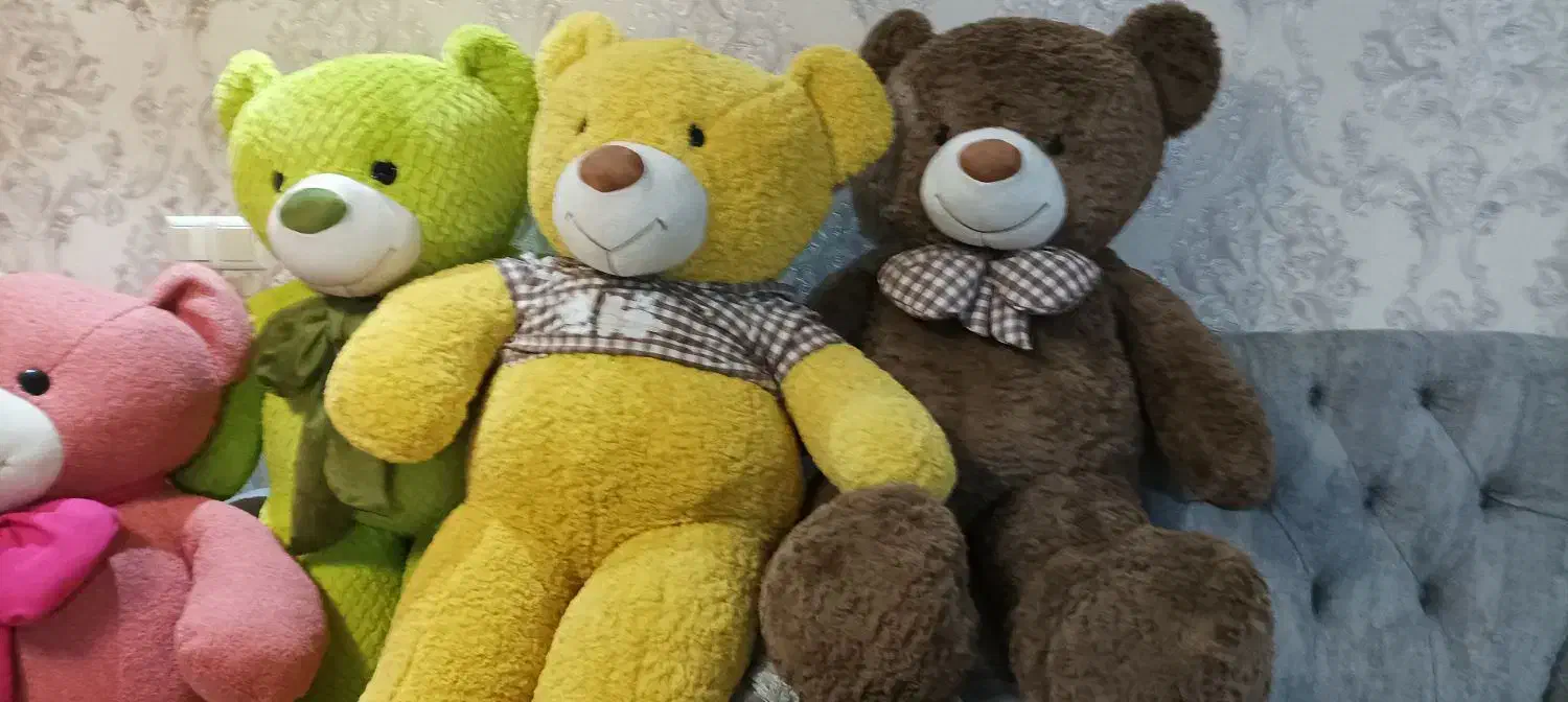 خرس|اسباب‌‌بازی|اردبیل, |دیوار