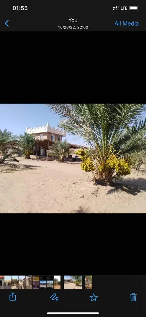 تور بارش شهابی کویر کاشان|تور و چارتر|تهران, فلسطین (میدان انقلاب)|دیوار