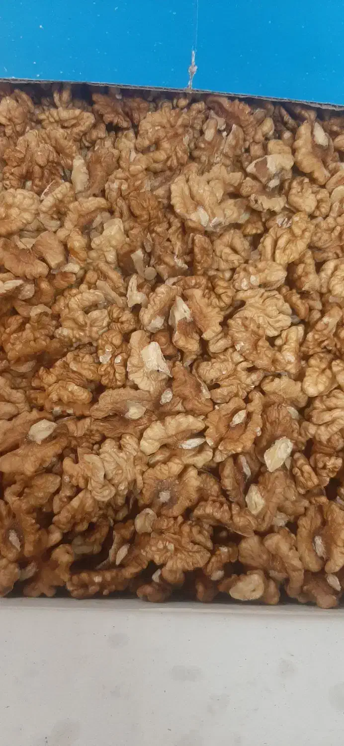 گردوی درجه ۱ ایرانی پوست سفید و روغنی|خوردنی و آشامیدنی|رشت, باهنر|دیوار