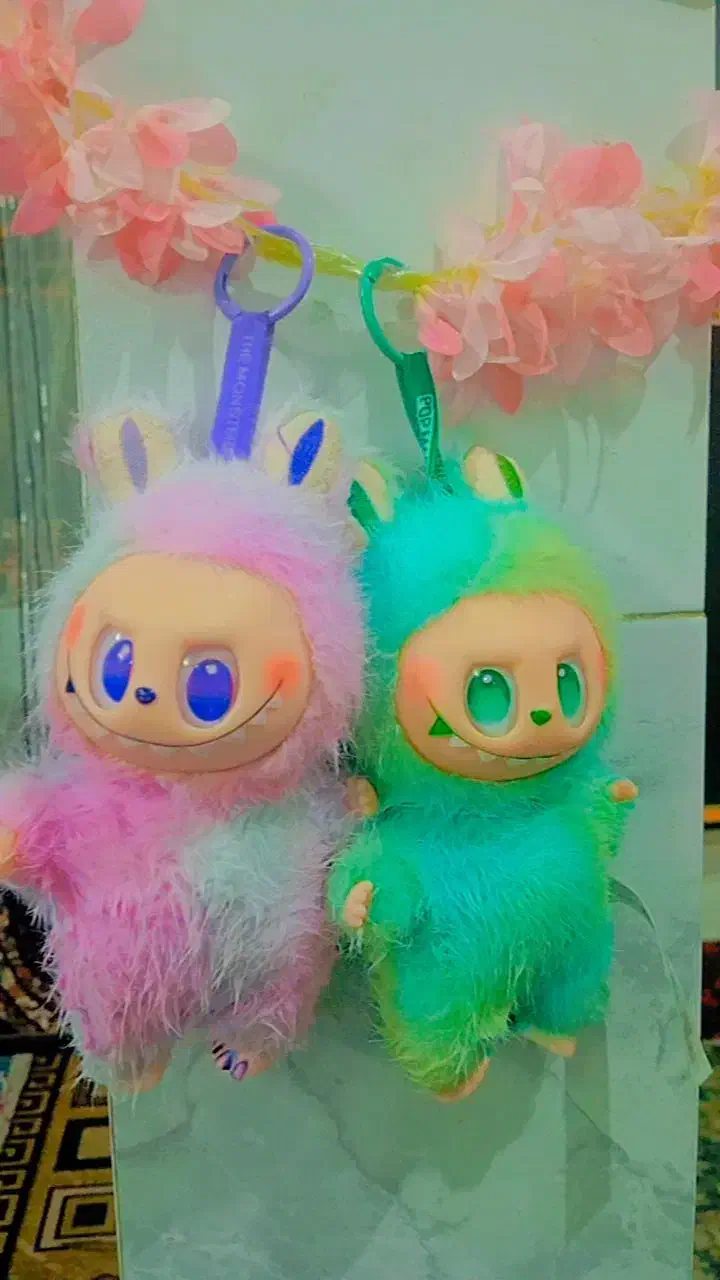 عروسک|اسباب‌بازی بچه|کنگاور, |دیوار