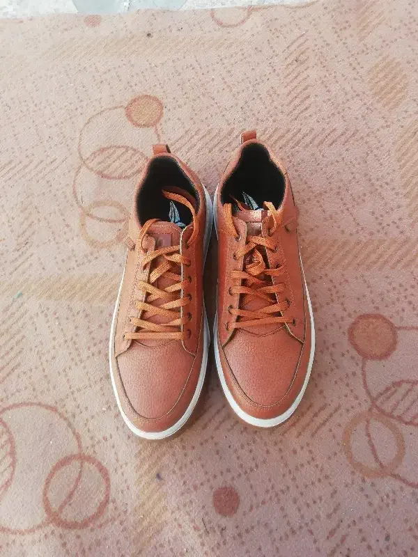 کفش|کیف، کفش، کمربند|بیرجند, |دیوار