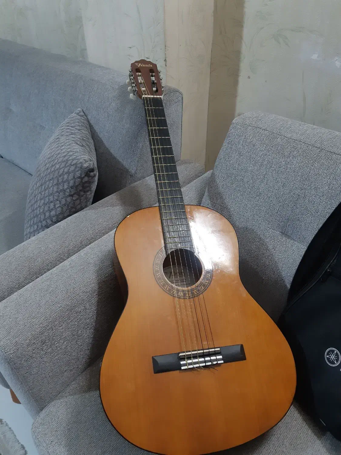 گیتار کاملا نو عالی برای شروع|گیتار، بیس، امپلیفایر|کاشان, فاز ۲ ناجی آباد|دیوار