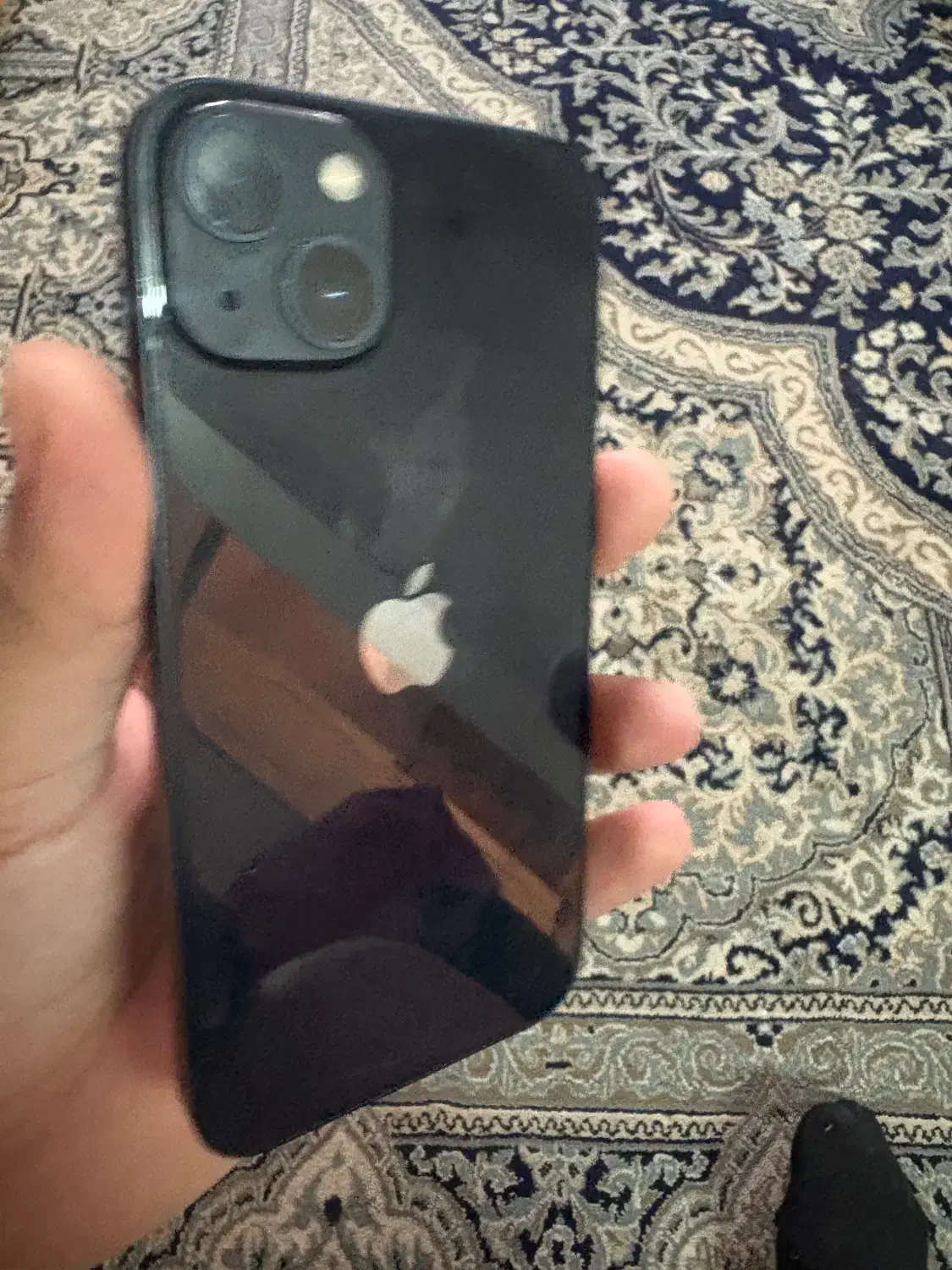 ایفون ۱۳ ch/a|موبایل|رشت, کاکتوس|دیوار