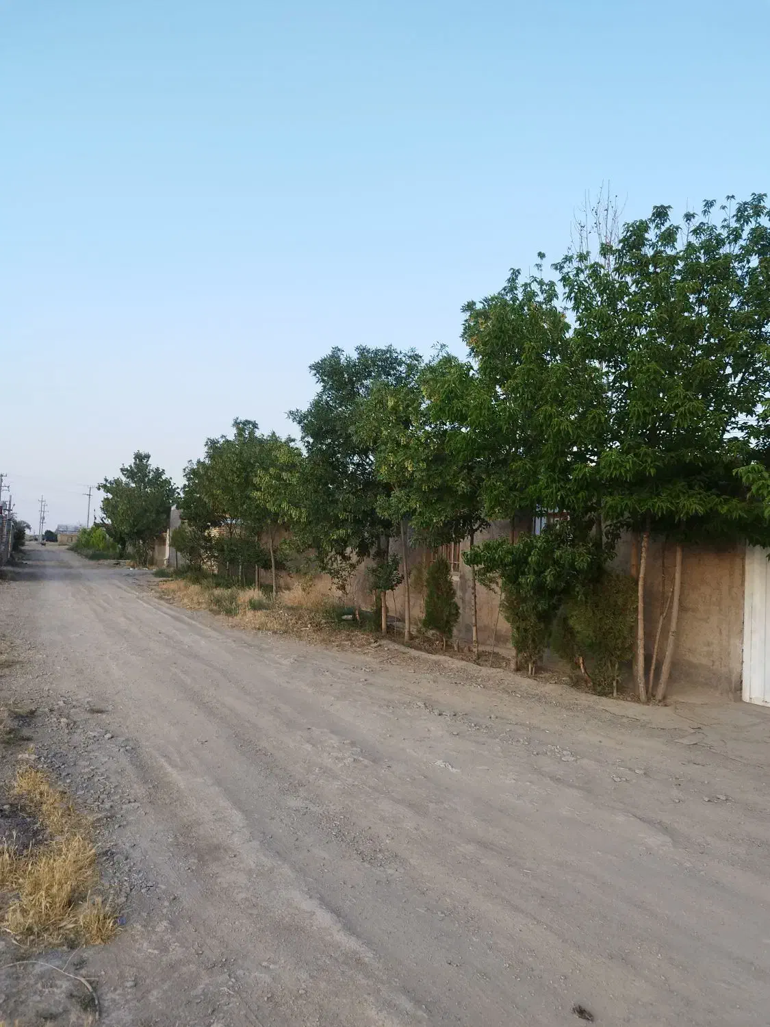 گاوداری با پروانه 100راسی گوشتی|فروش دفتر صنعتی، کشاورزی، تجاری|اراک, |دیوار